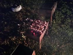 post-31965-0-08260300-1443461965_thumb.j