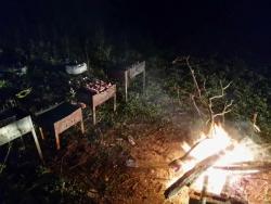 post-31965-0-83065100-1443461932_thumb.j