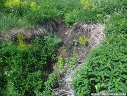 post-32197-0-46350200-1442430132_thumb.j