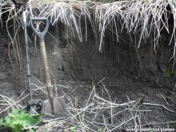 post-32197-0-54041700-1442430256_thumb.j