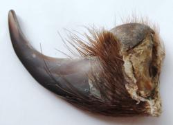 post-32294-0-16170200-1441375002_thumb.j