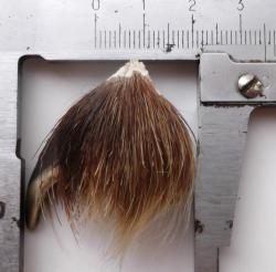 post-32294-0-56956500-1441375219_thumb.j