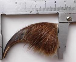 post-32294-0-89351900-1441374988_thumb.j