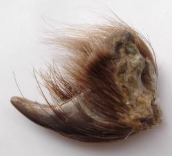 post-32294-0-97186100-1441375232_thumb.j