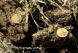 post-32334-0-39593100-1442929540_thumb.j