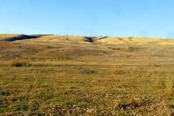 post-32334-0-80909900-1443608951_thumb.j