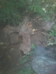 post-33996-0-61583700-1443511350_thumb.j