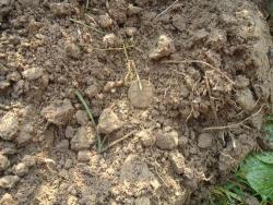 post-33996-0-90729200-1443511326_thumb.j