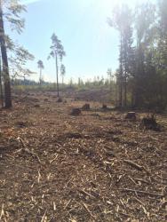 post-34042-0-00211700-1442346605_thumb.j