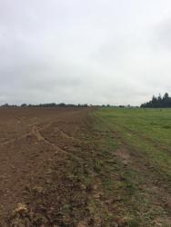 post-34042-0-26251500-1441558002_thumb.j