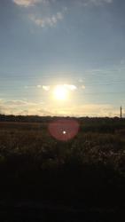 post-34042-0-36531100-1441657637_thumb.j