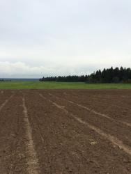 post-34042-0-44346900-1441558010_thumb.j