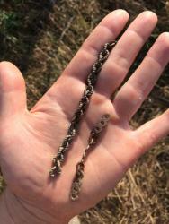 post-34042-0-59472500-1443101844_thumb.j