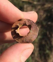 post-34042-0-83560400-1443101787_thumb.j