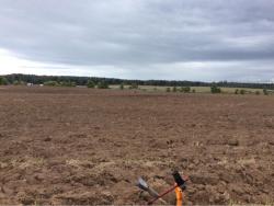 post-34284-0-43834500-1442088376_thumb.j