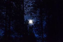 post-35125-0-20975700-1442008548_thumb.j