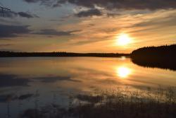 post-35125-0-71436000-1442007939_thumb.j