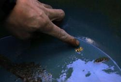 post-3757-0-28817700-1441751269_thumb.jp