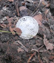 post-9381-0-59660800-1442686656_thumb.jp