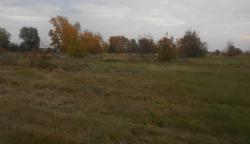 post-9381-0-82178900-1442686654_thumb.jp