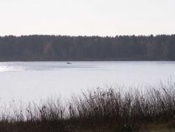 post-1697-065204500 1287230481_thumb.jpg