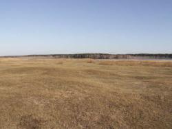 post-1697-082005100 1287230705_thumb.jpg