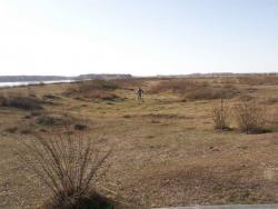 post-1697-088610200 1287230453_thumb.jpg