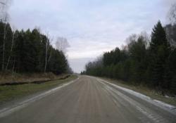 post-1788-010619700 1288107864_thumb.jpg