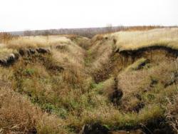 post-1788-013061300 1288108710_thumb.jpg