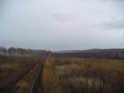 post-1788-030296500 1287245750_thumb.jpg