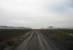 post-1788-042858700 1288108608_thumb.jpg