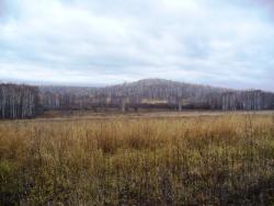 post-1788-056118300 1287245786_thumb.jpg