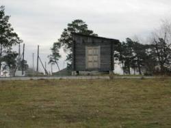 post-1788-058371500 1288108524_thumb.jpg