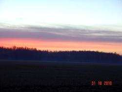 post-2202-0-77642300-1288540104_thumb.jp