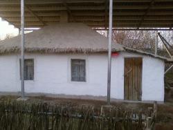 post-2817-0-10778100-1288444128_thumb.jp