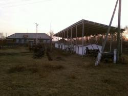 post-2817-0-12681700-1288444253_thumb.jp