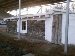 post-2817-0-76925100-1288444224_thumb.jp