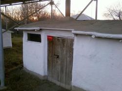 post-2817-0-81272300-1288444287_thumb.jp