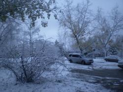 post-3757-011843000 1287974390_thumb.jpg