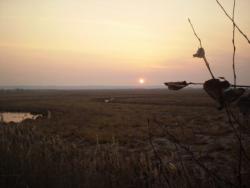 post-3757-053977500 1287971620_thumb.jpg