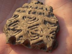 post-413-035653400 1287921407_thumb.jpg