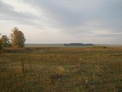 post-4170-010482500 1285954024_thumb.jpg