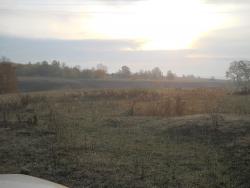 post-4170-064784700 1285954055_thumb.jpg