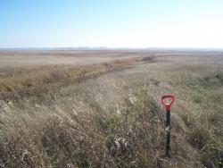 post-4269-001218600 1286981896_thumb.jpg