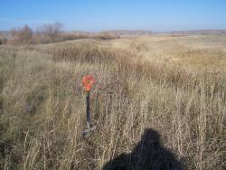 post-4269-073155000 1286981787_thumb.jpg