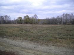 post-4632-008161100 1287323731_thumb.jpg