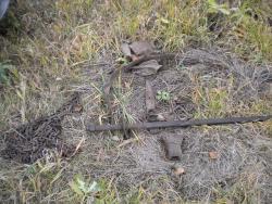 post-4632-012262300 1287323725_thumb.jpg