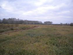 post-4632-086997700 1287323736_thumb.jpg