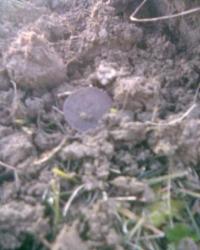 post-4732-0-60415500-1288456183_thumb.jp