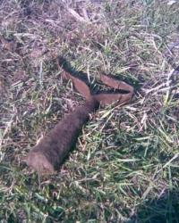 post-4732-0-71989300-1288455417_thumb.jp